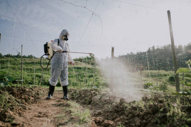Best Mosquito Control Services  in Winthrop, IA