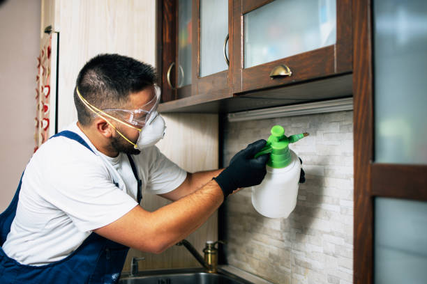 Winthrop, IA Pest Control Pros