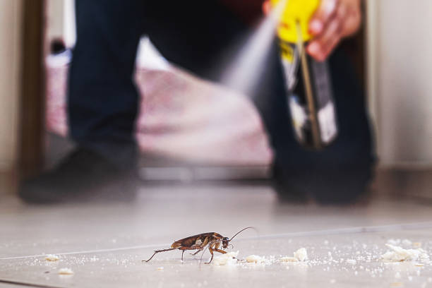 Pest Prevention Services in Winthrop, IA