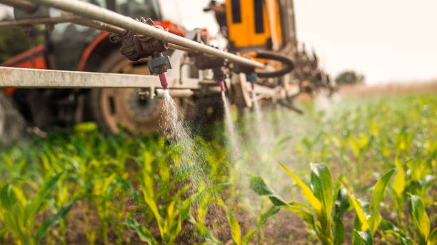 Best Pest Removal Services  in Winthrop, IA